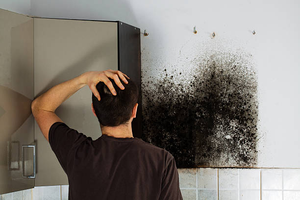 Best Crawl Space Mold Removal  in Newark, NY